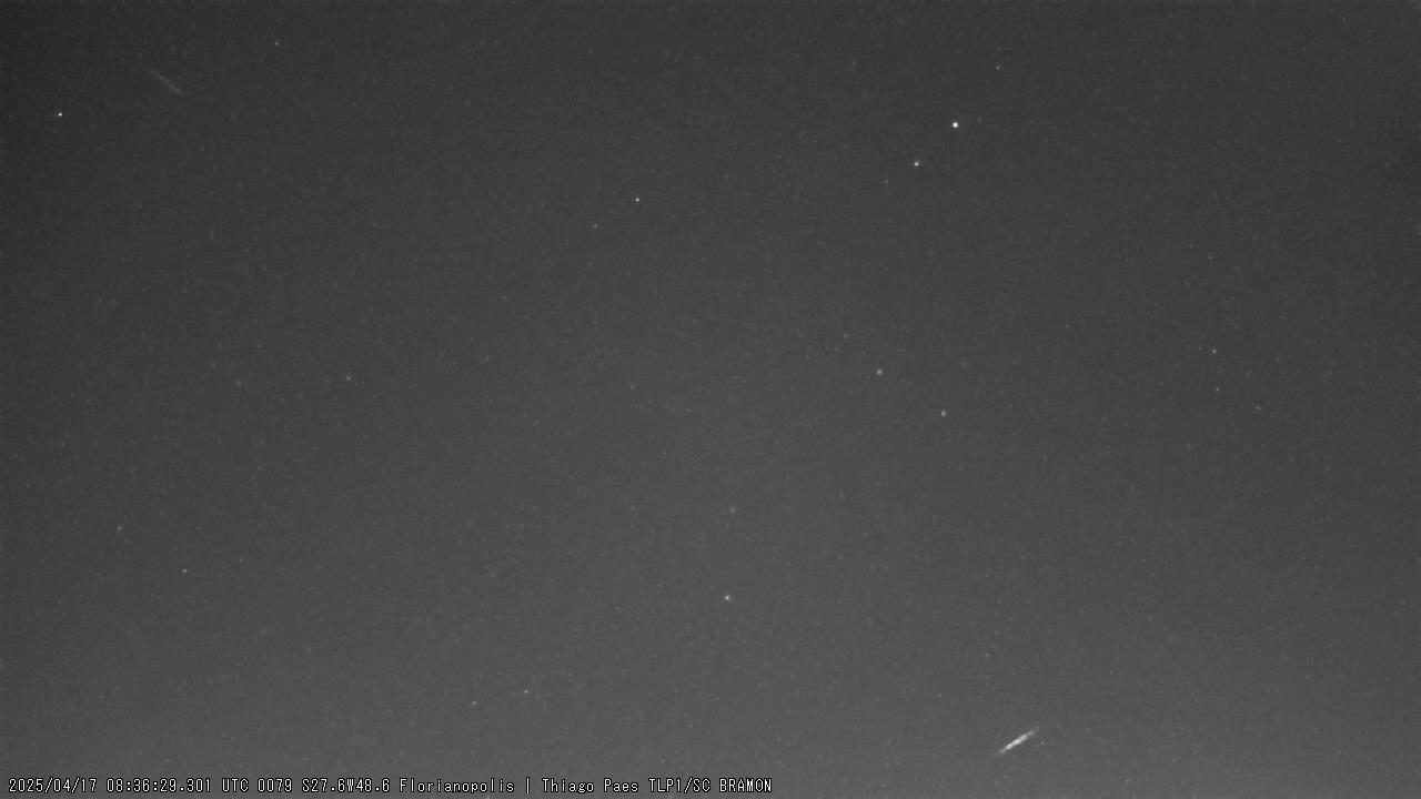 M20250417_083629_TLP_1P.jpg