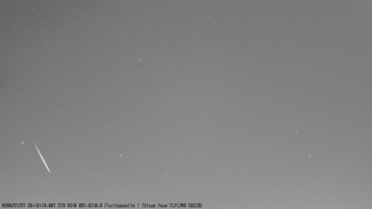 M20250707_084019_TLP_1P.jpg