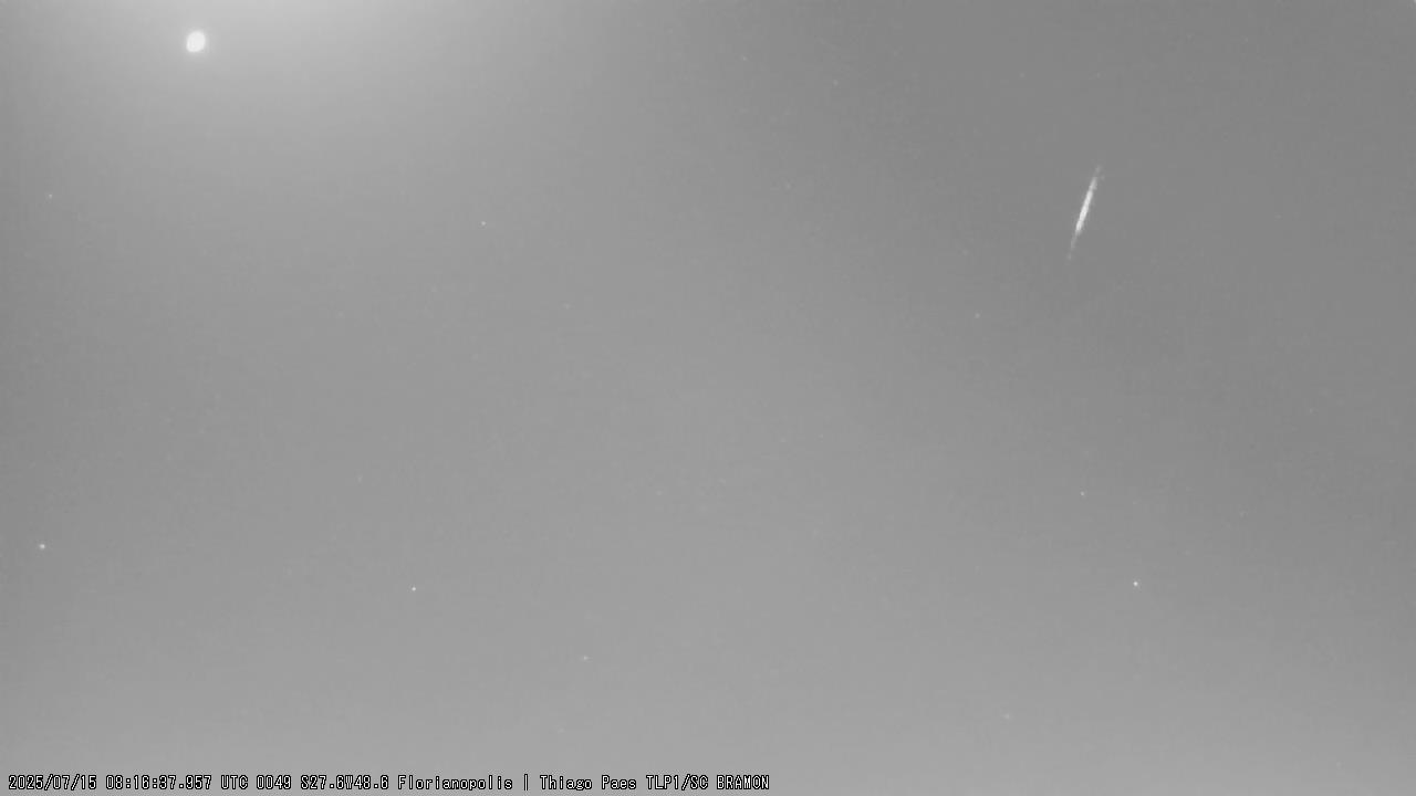 M20250715_081637_TLP_1P.jpg
